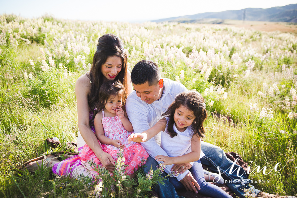Family of 4 in the Wildflowers