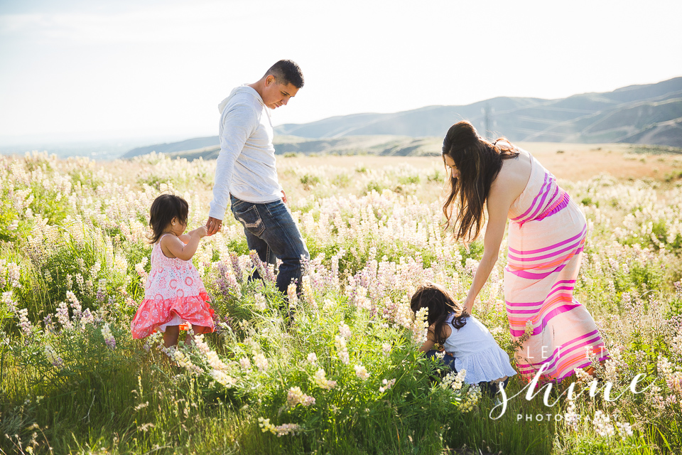 Family of 4 in the Wildflowers