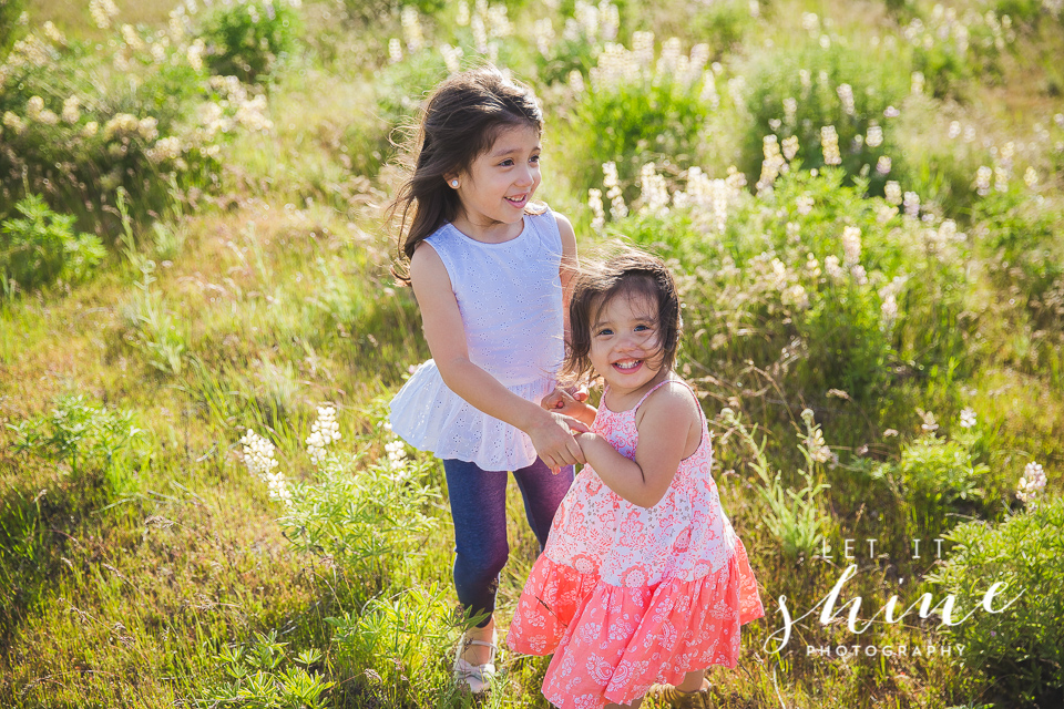 Family of 4 in the Wildflowers