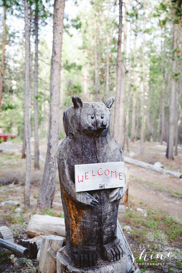 Mountain Elopement Warm Lake Idaho Let it Shine Photography-8129.jpg