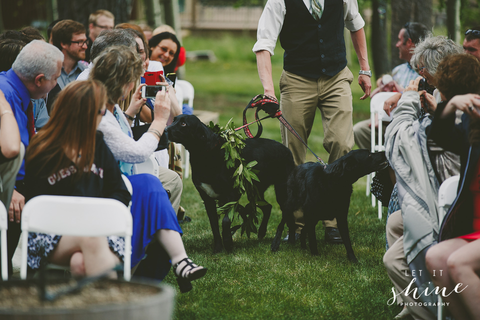 Idaho Mountain Wedding -70.jpg