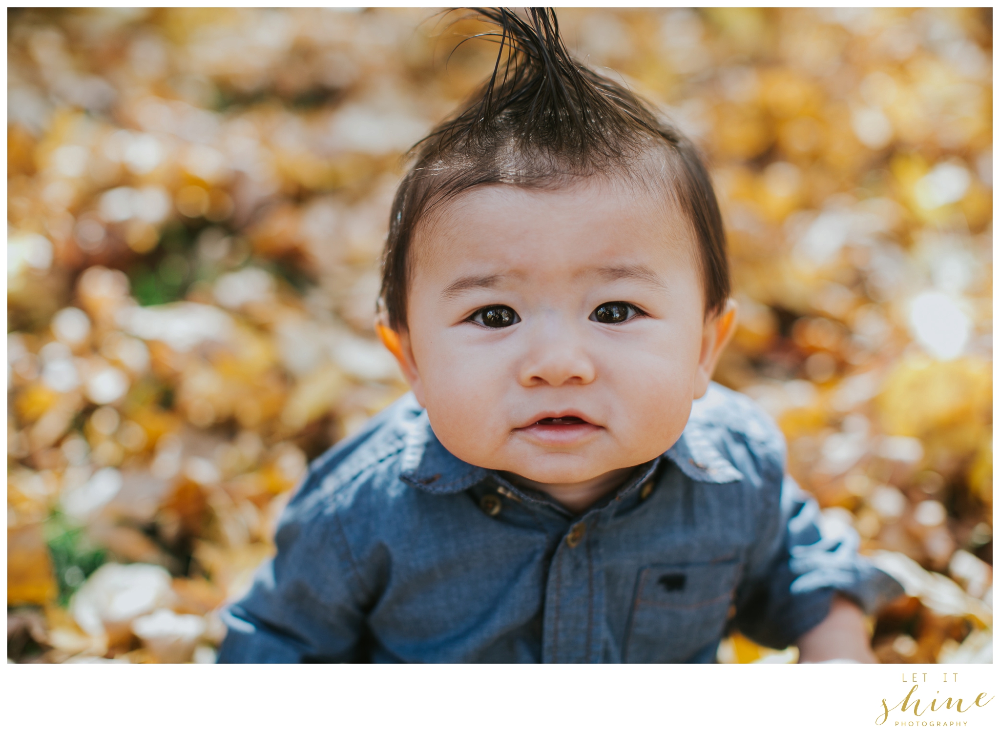  Boise Family Photographer 