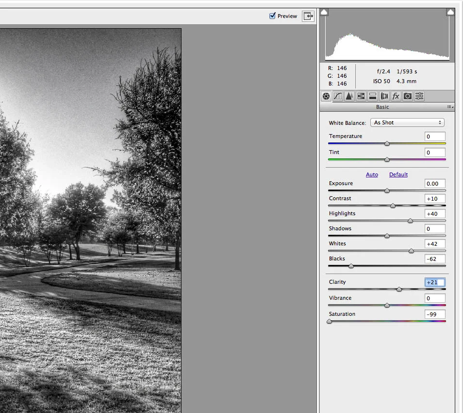 camera-raw-edits zoom.jpg