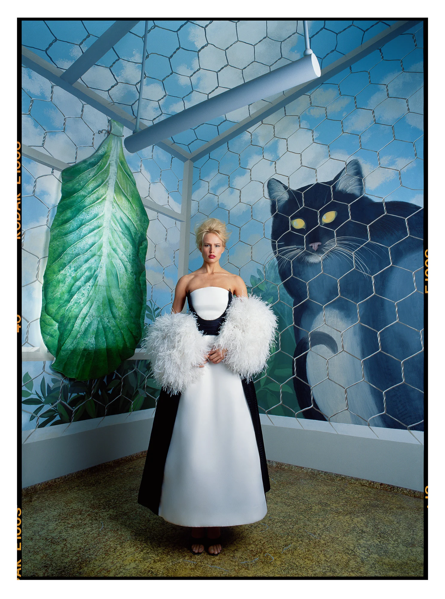 Vicky_B&W-Birdcage_35x47-SQSPC_2000px-sharpHIGH.jpg