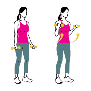 Keep your elbow in one place and try lifting only with your biceps, no swinging