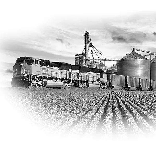 BTB_train_C.jpg