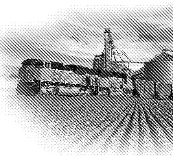BTB_train_D.jpg