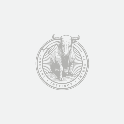 Logos_TPBull.png