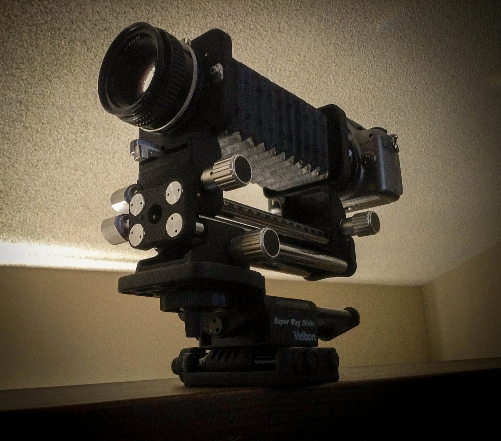 Nikon PB-4 Bellows mounted to my Pnasonic GH2