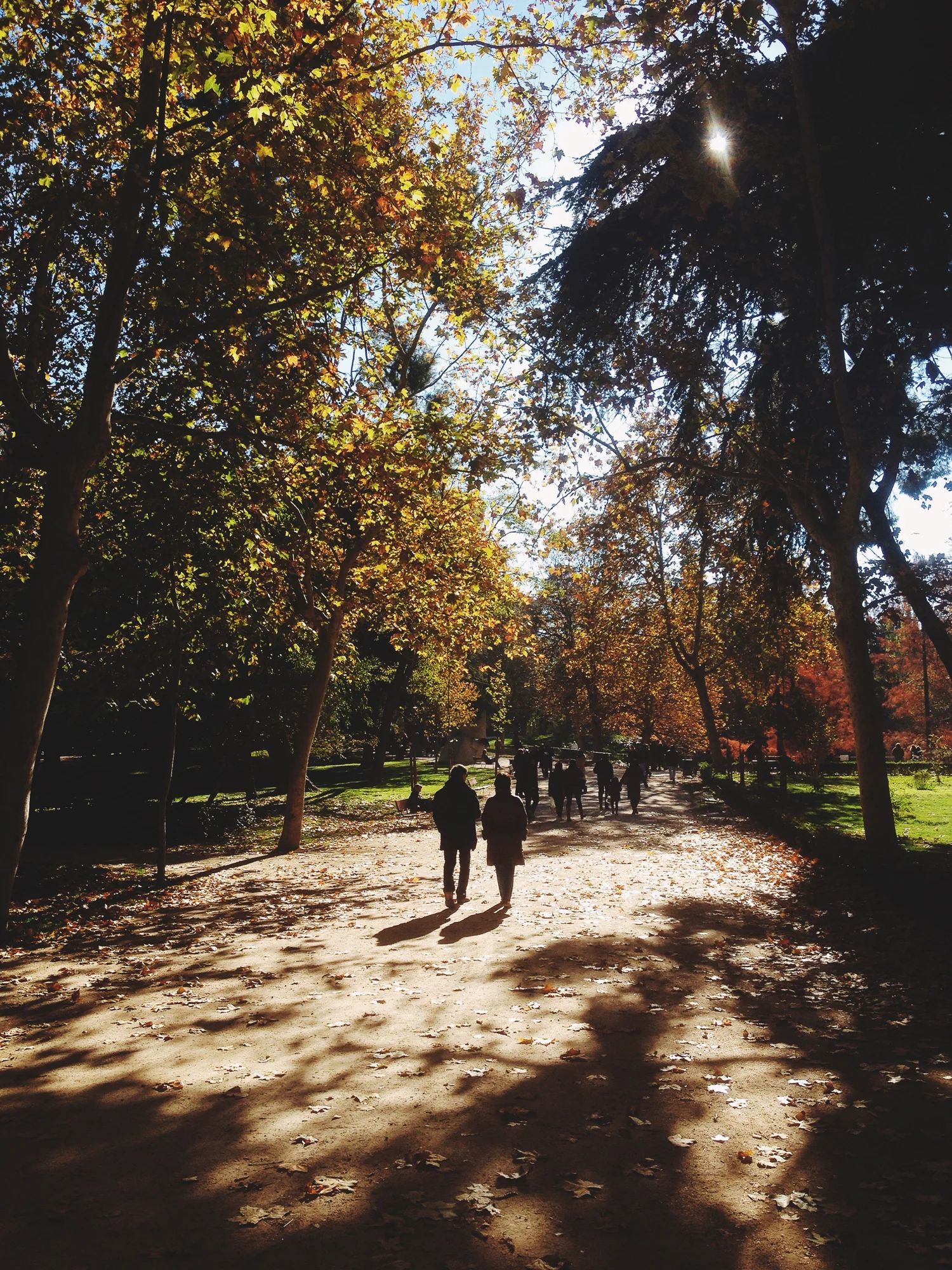 vscoportolfioimage6.jpg
