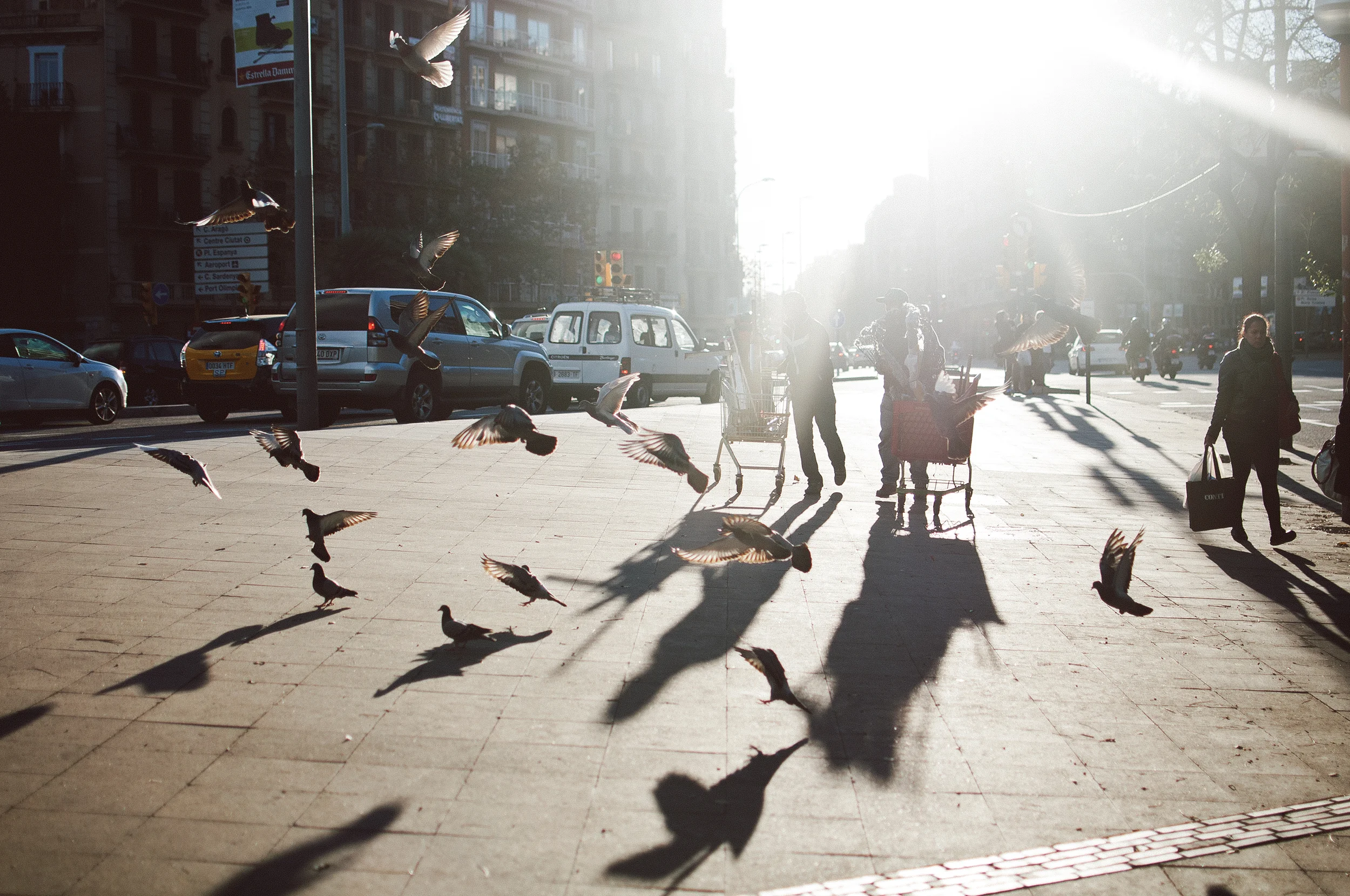 _DSC01912013VSCO.jpg