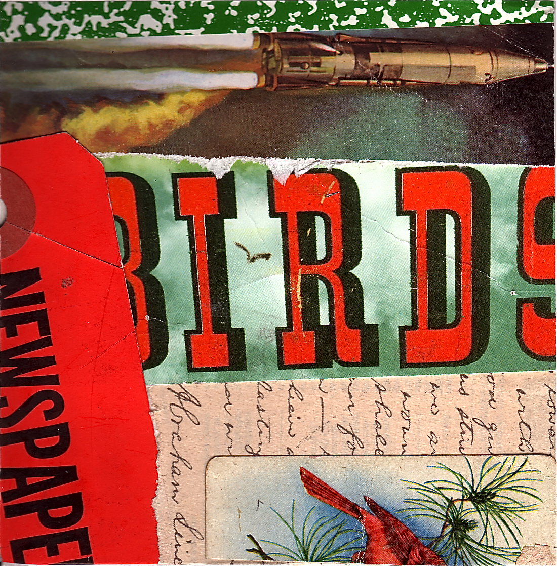 Birds