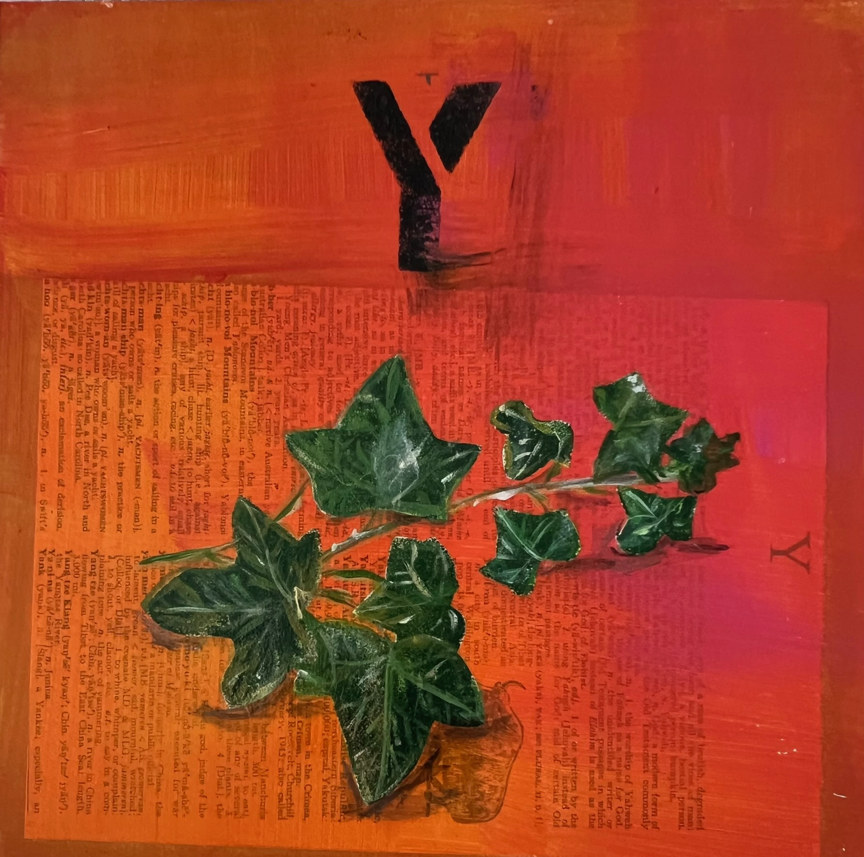 Y