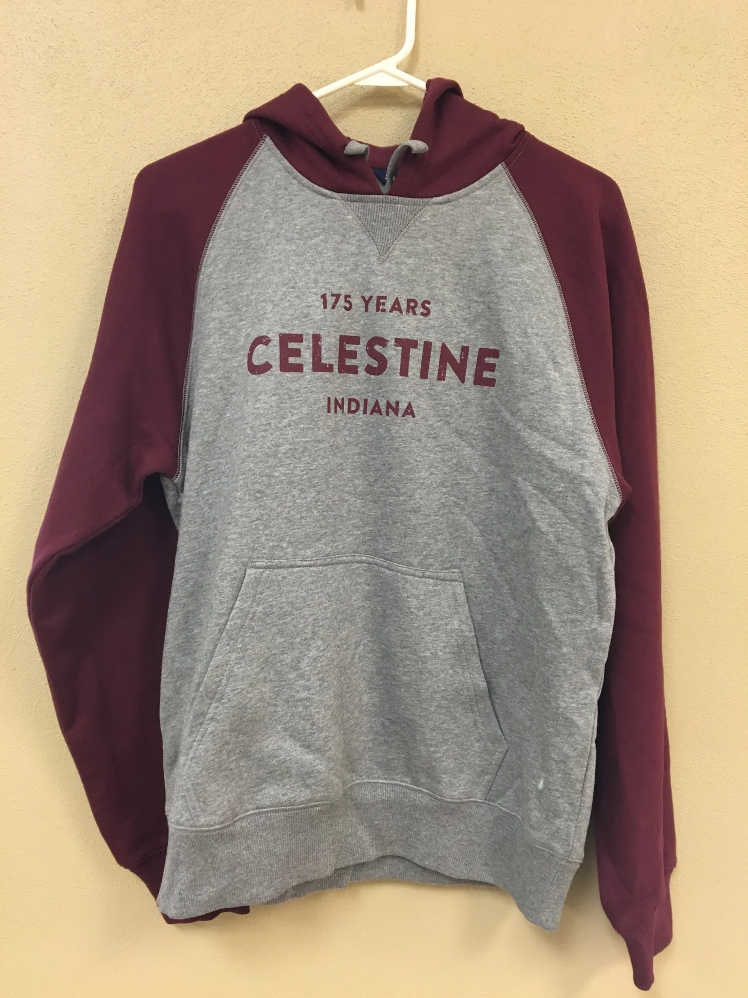 Hooded Sweatshirts (XXL and XXXL only) - $25