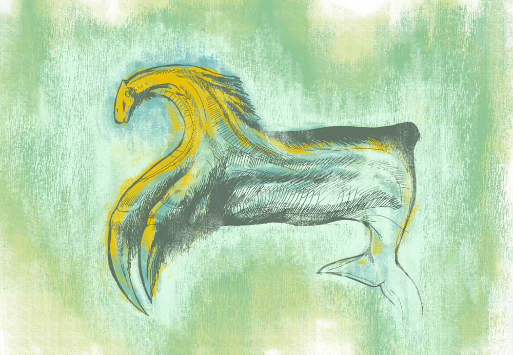 sea horse (web).jpg