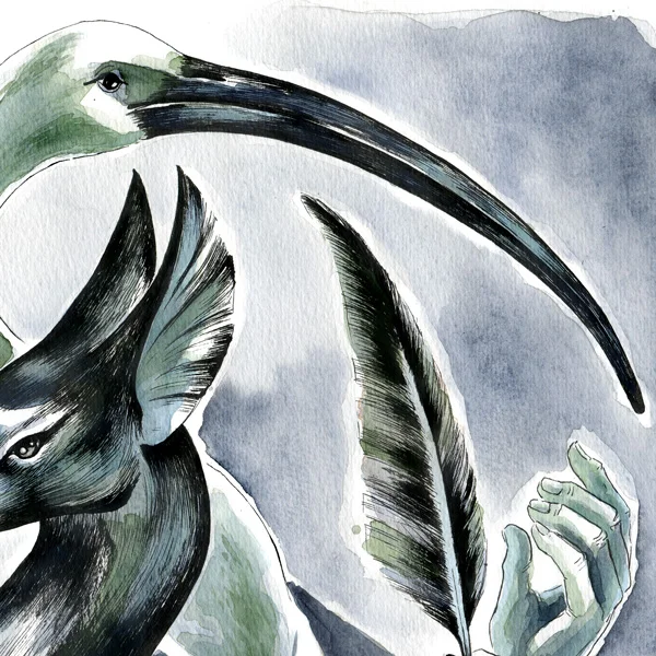 Mr.-Ibis-and-Mr.-Jacquel-(detail3).jpg