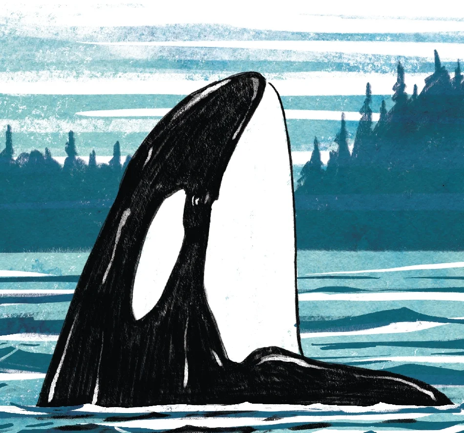 Artboard 2 copy 2.jpg