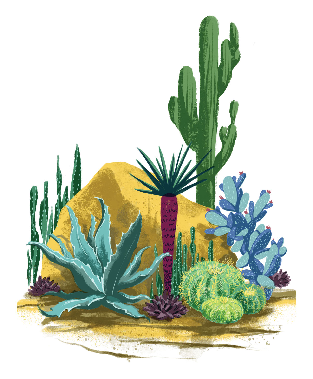 Desert_Plants-web.jpg