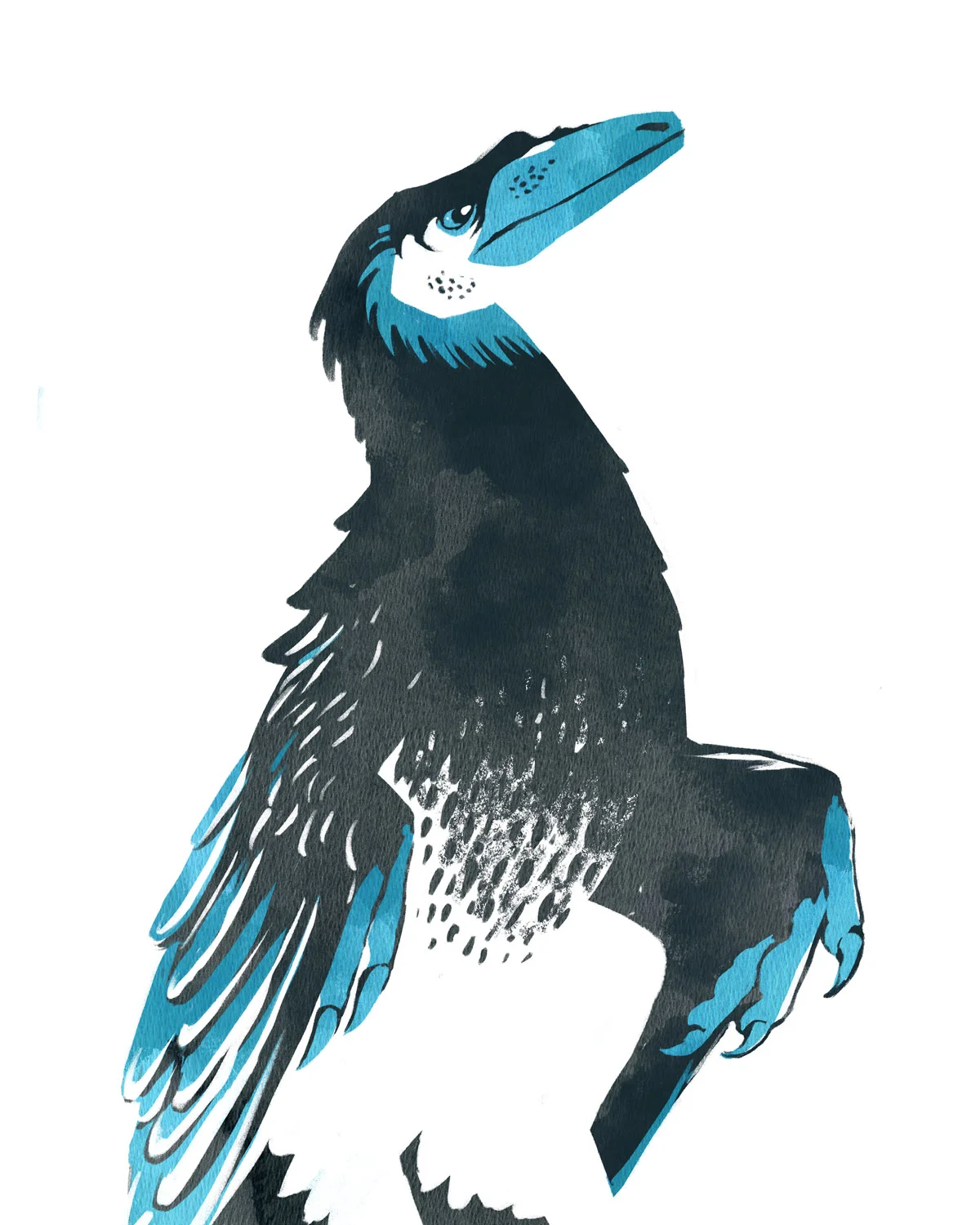 Troodon