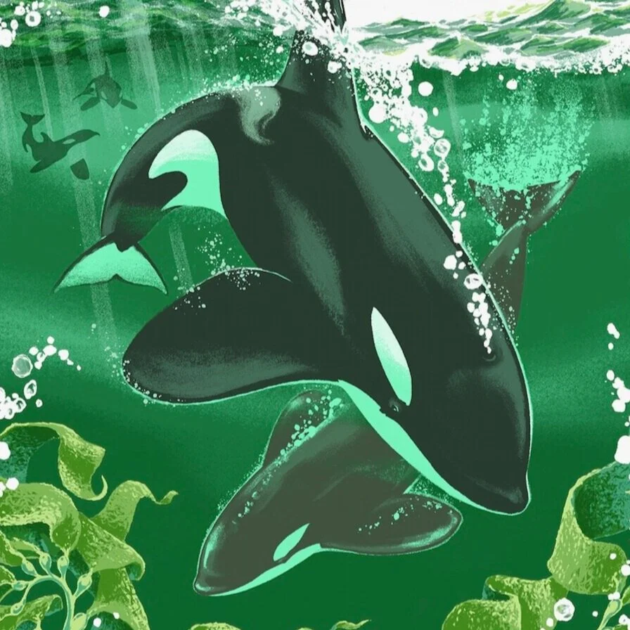 Emerald-Orcas-web.jpg