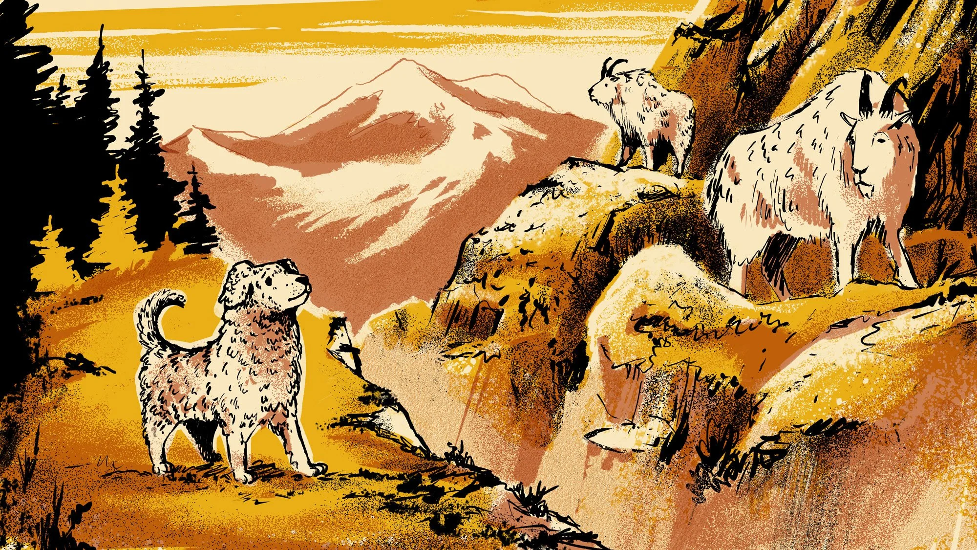 03_Mossback-Sheepdog.jpg