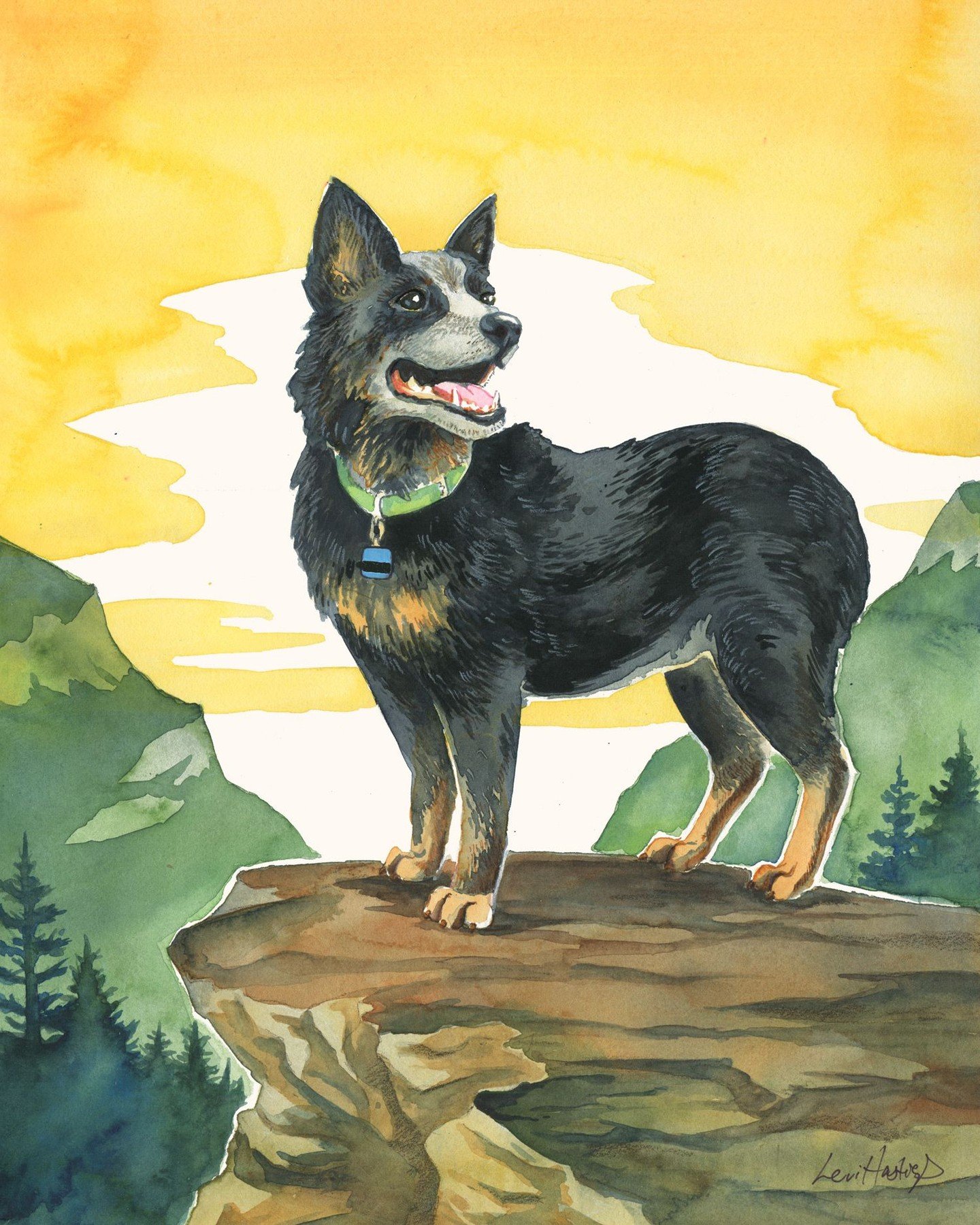 A heartfelt tribute to Darwin, the noble beast and cherished companion of @NateCreed. As a lifelong dog lover and a somewhat recent dog parent myself, I find great satisfaction in creating these portraits. Losing a pet brings a unique flavor of grief