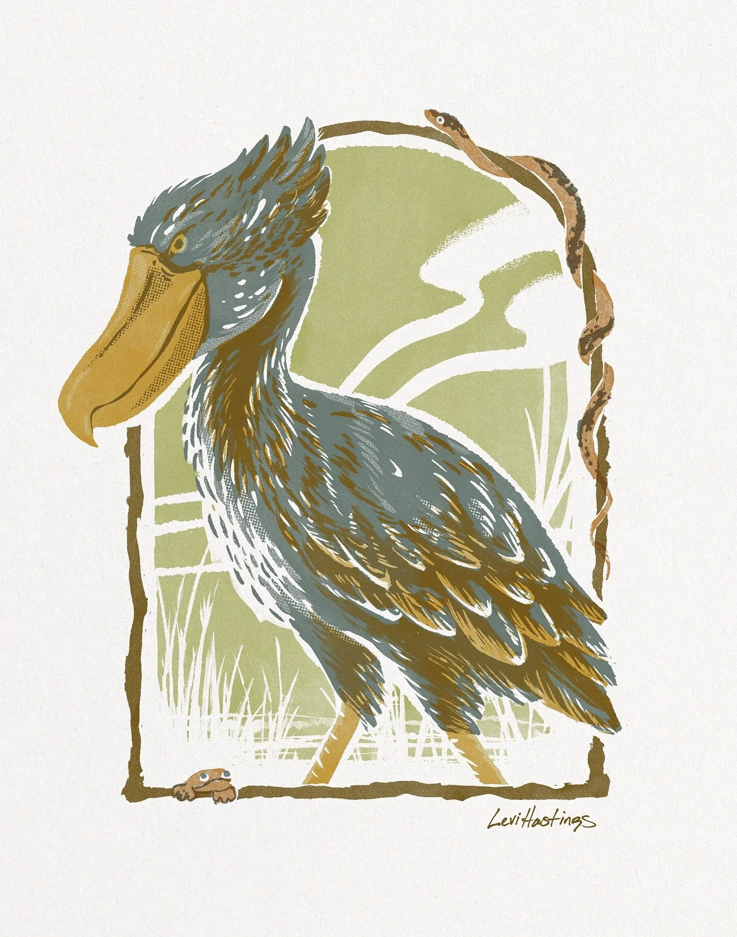 If you doubt that dinosaurs still walk the earth, look no further than the Shoebill Stork. A fearsome ambush predator that stalks the African marshlands and waterways, the stork patiently stalks its prey with the unflinching stare of a statue.  Ruthl
