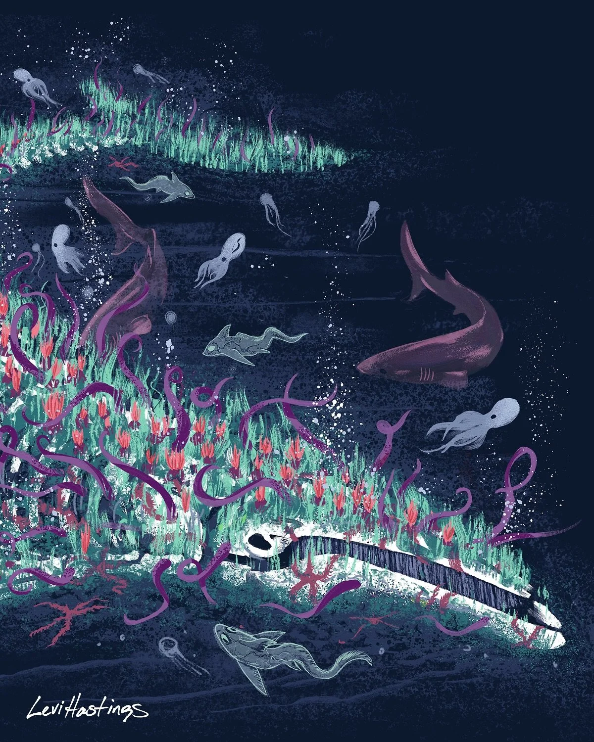 Have you heard of Whalefall? 
It&rsquo;s the phenomenon where a dead whale&rsquo;s body sinks to the ocean floor, becoming a major food source and habitat for countless deep sea creatures. Like a nurse log in the forest, Whalefalls can sustain life f