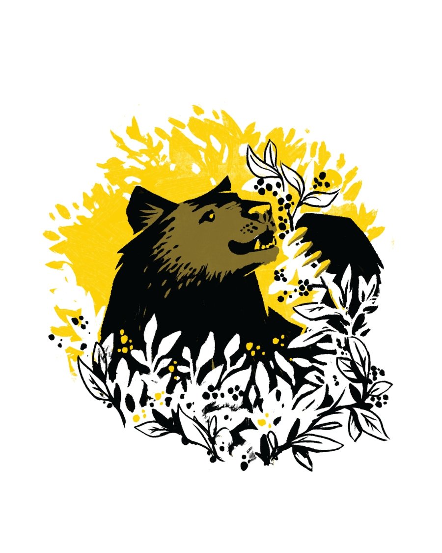 Animal Kingdom-Bear.jpg