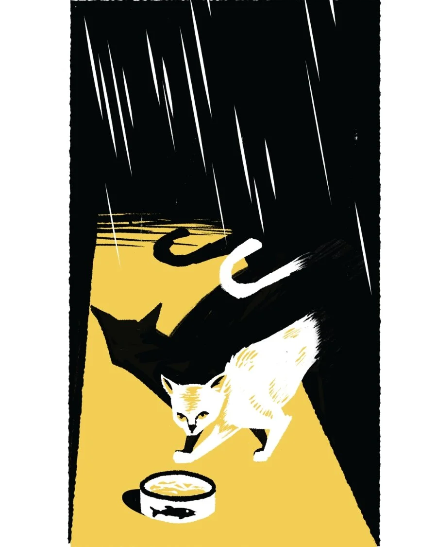 Animal Kingdom-Cat.jpg