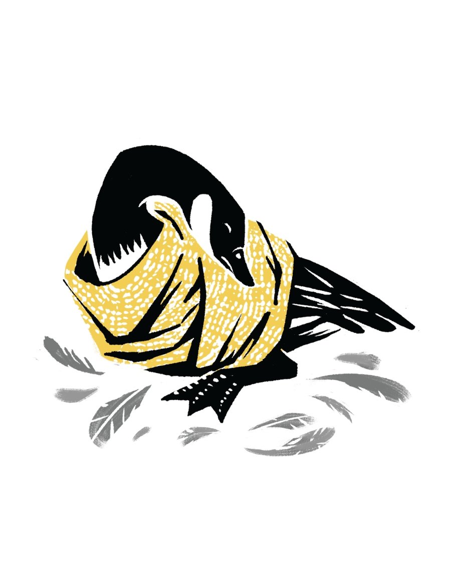 Animal Kingdom-Goose.jpg