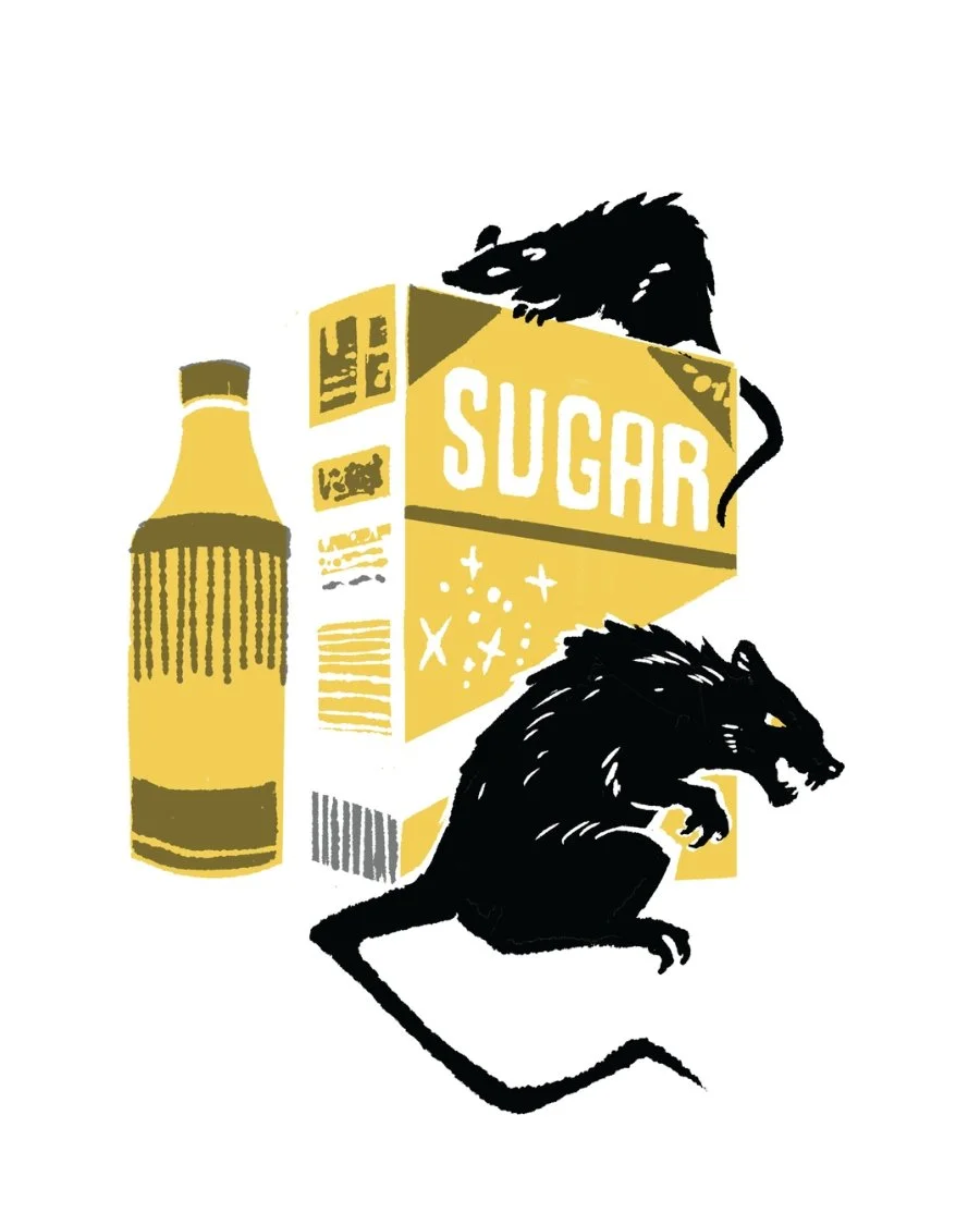 Animal Kingdom-Rats.jpg