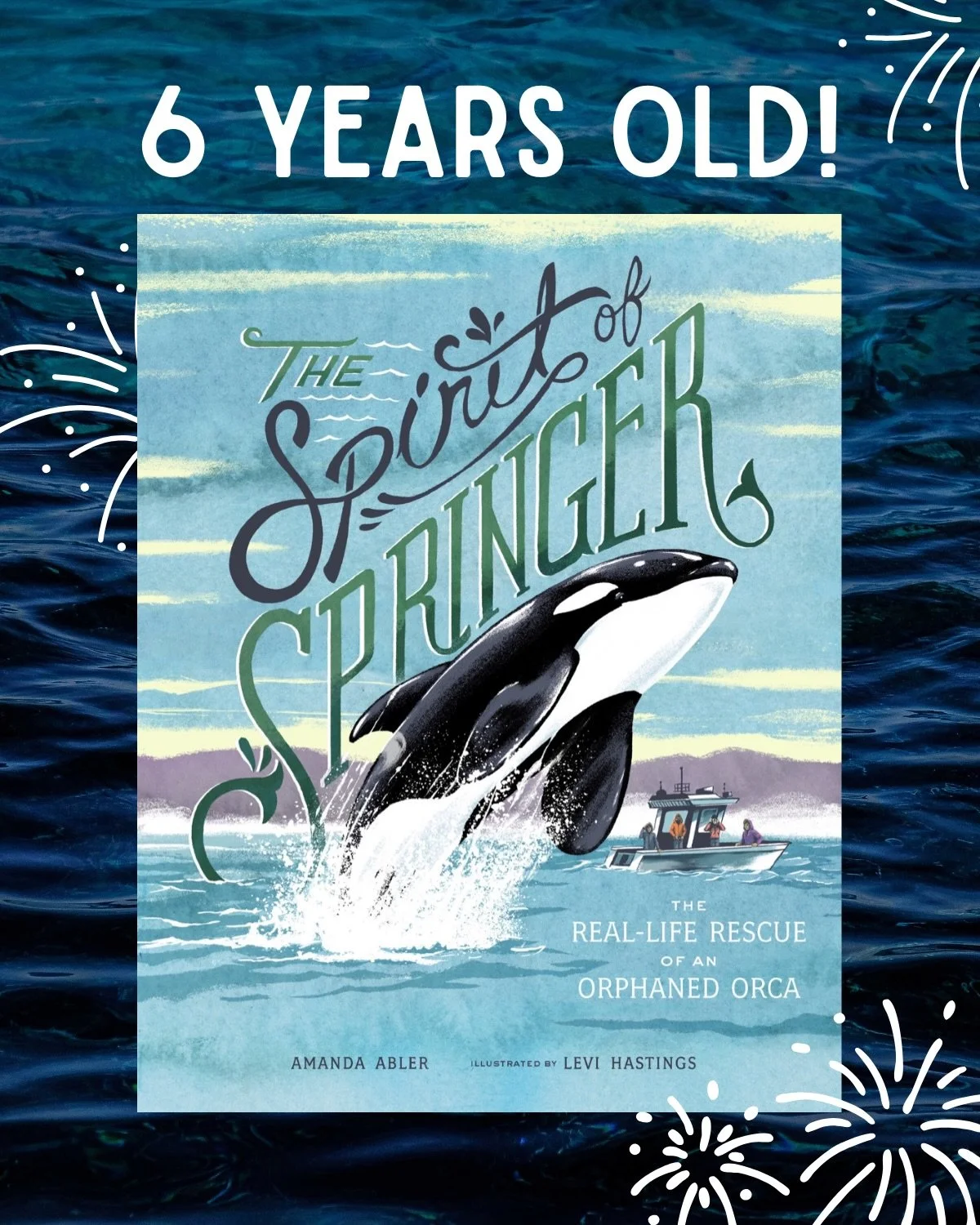 This week marks the 6th book birthday of The Spirit of Springer! 

Springer is my first published book, and still my favorite. Written by @amandaablerbooks and published by @lbfbooks, this picture book tells the true story of an orphaned orca calf th