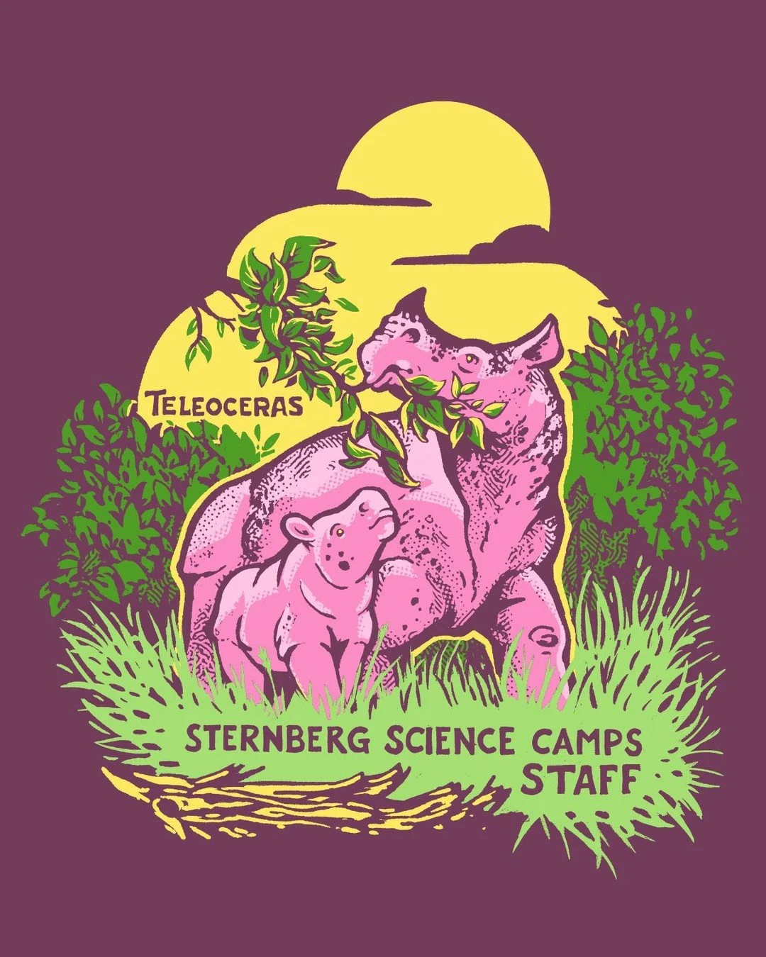 America sure isn't what it used to be... And by that, I specifically mean the lack of Rhinos wandering the land. Imagine a cross between a rhino and a hippo wandering the grasslands of prehistoric North America, and you&rsquo;ll have some idea of wha