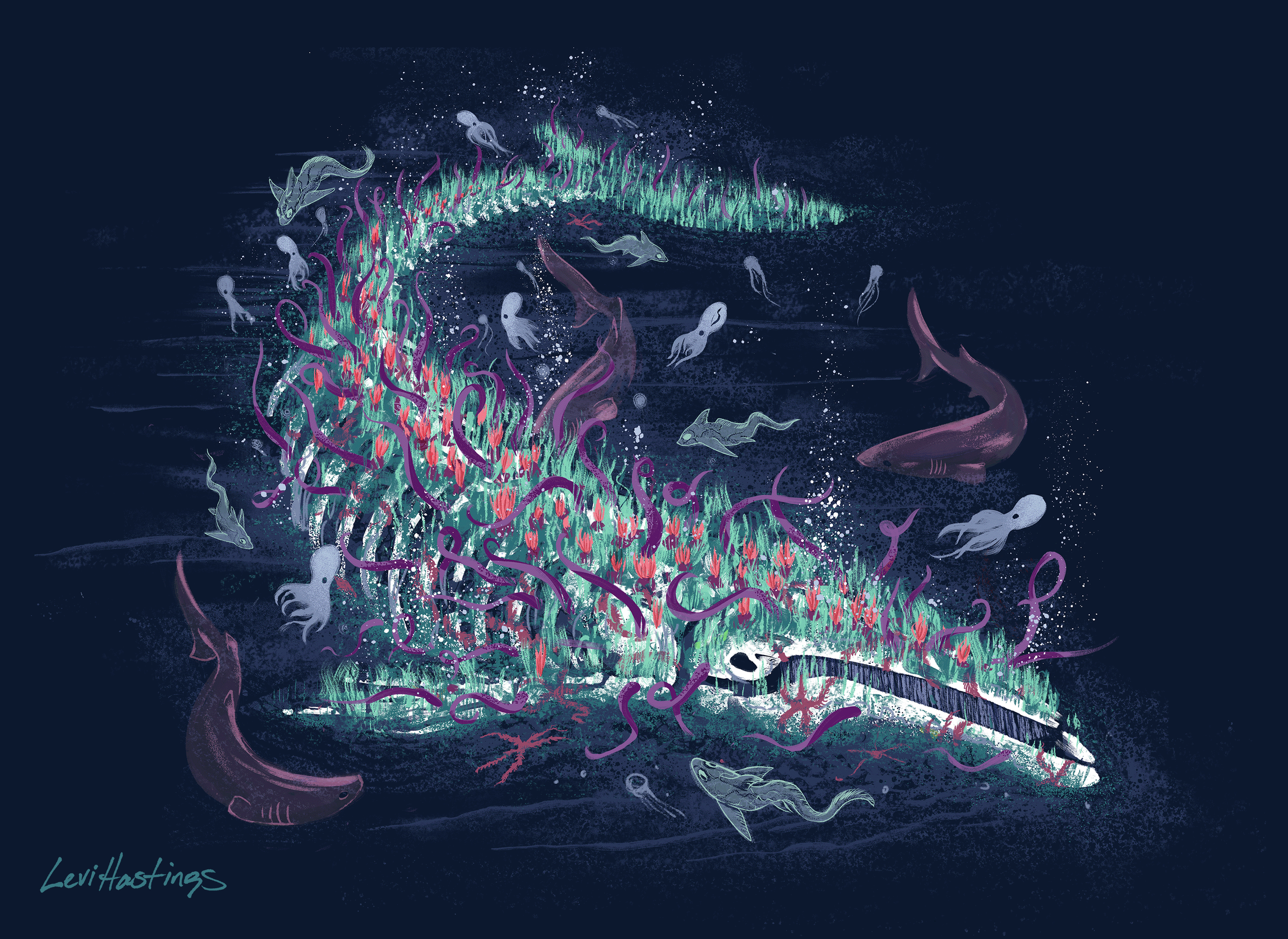 Whalefall Web Large.png