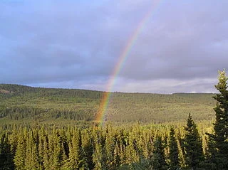 320px-Rainbow_over_a_forest_in_Alaska_(3_June_2005).jpg