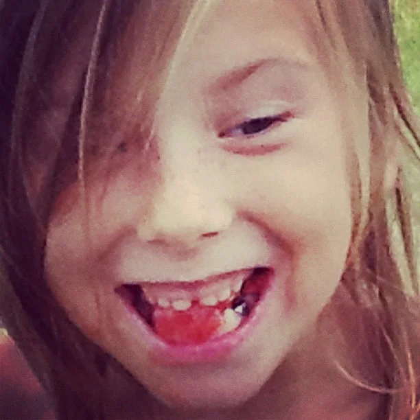 August 2012: What is summer without watermelon?