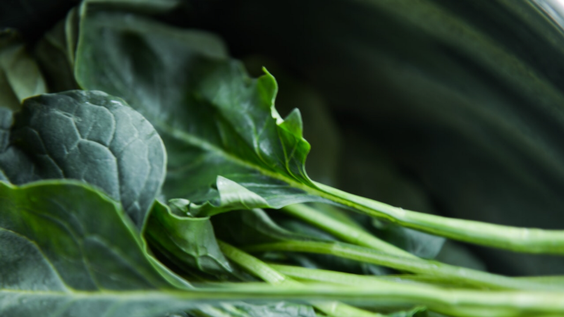 collards.png