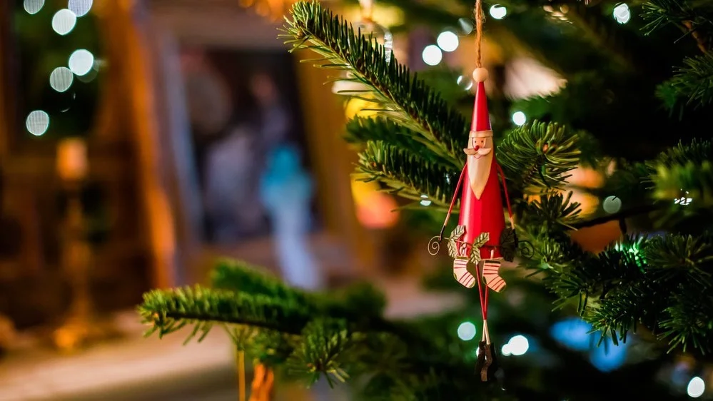 santa-in-tree-by-bruno-martins.jpg
