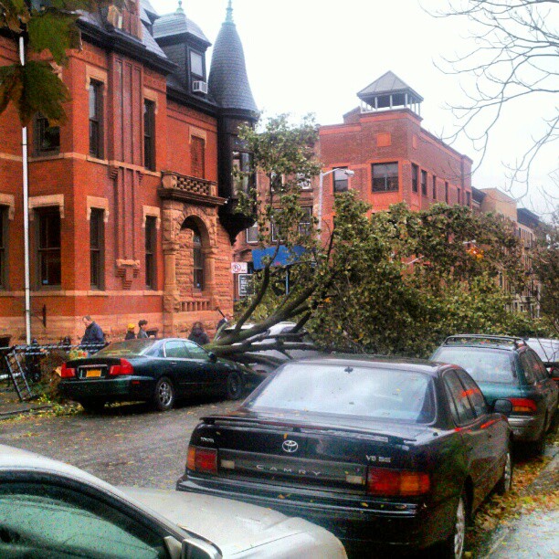 Planter and all--at the corner.
