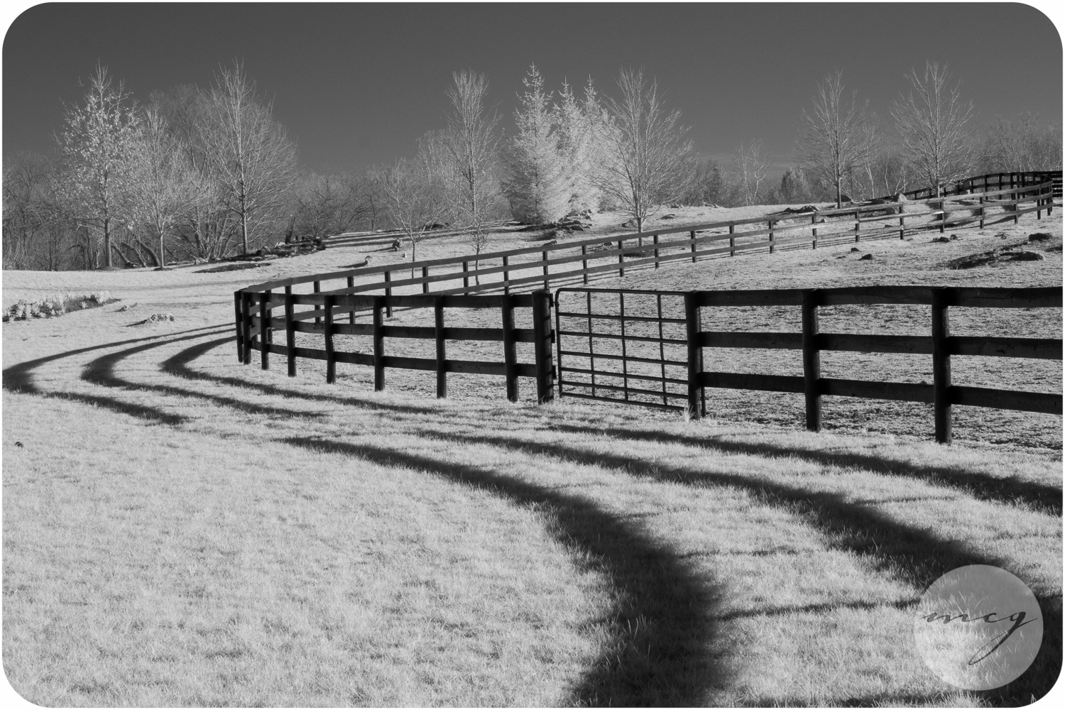 mcg_photography2-7626.jpg