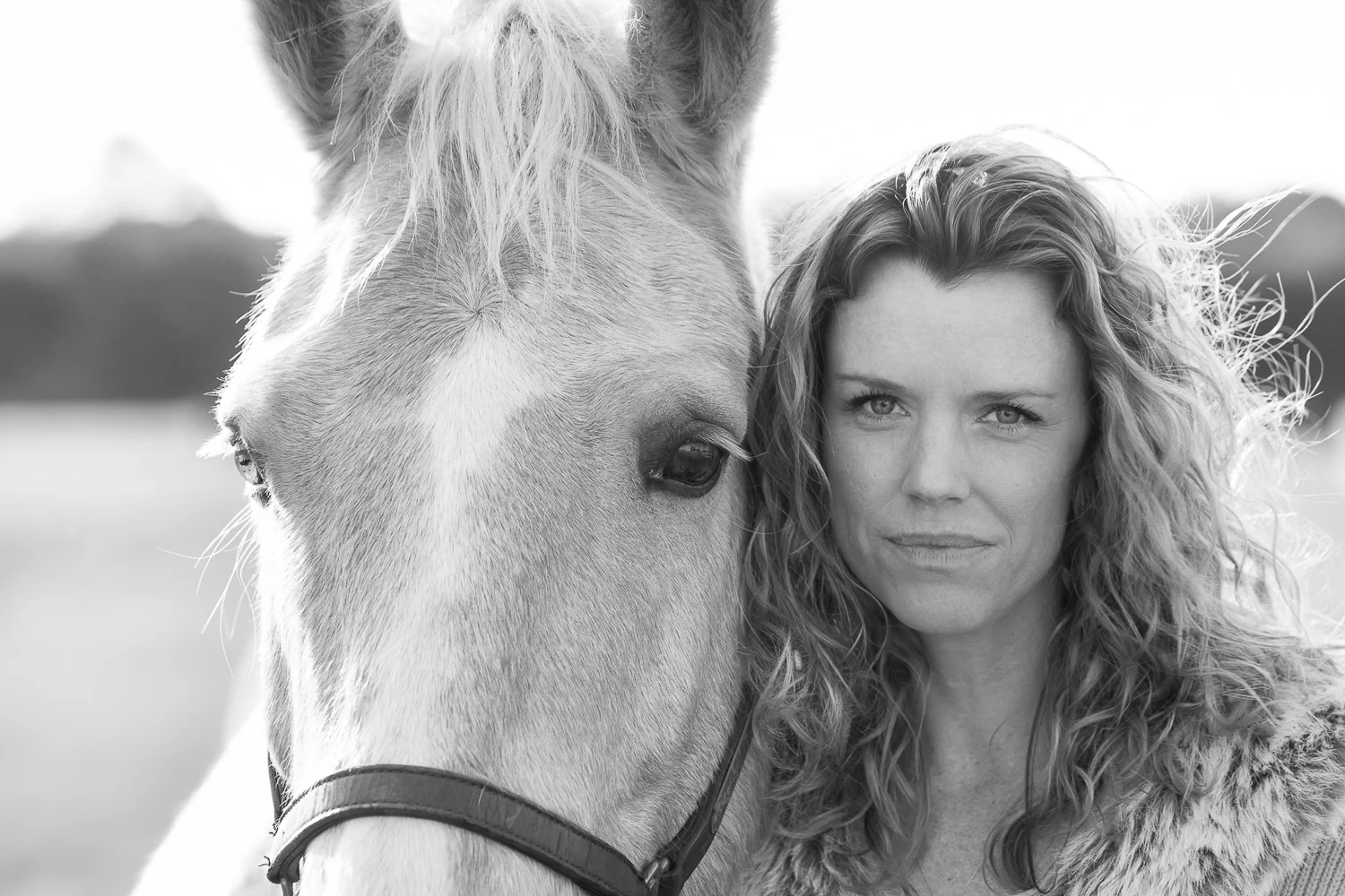 Charleston SC Equine Photographer