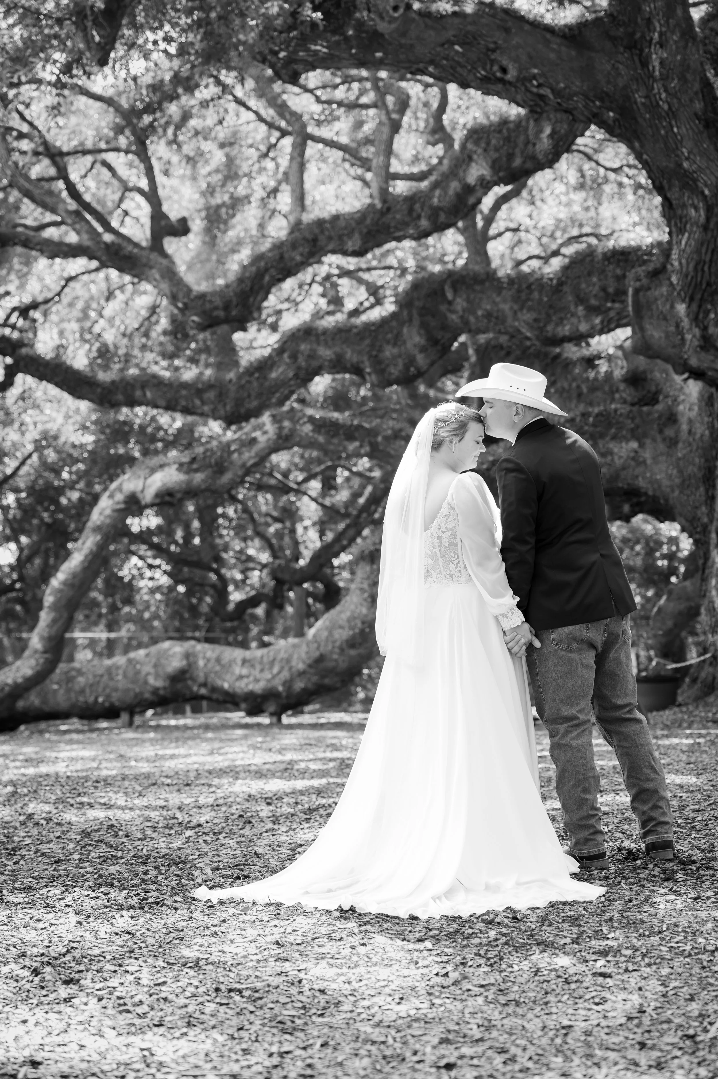 mcg0130AngelOakElope.jpg