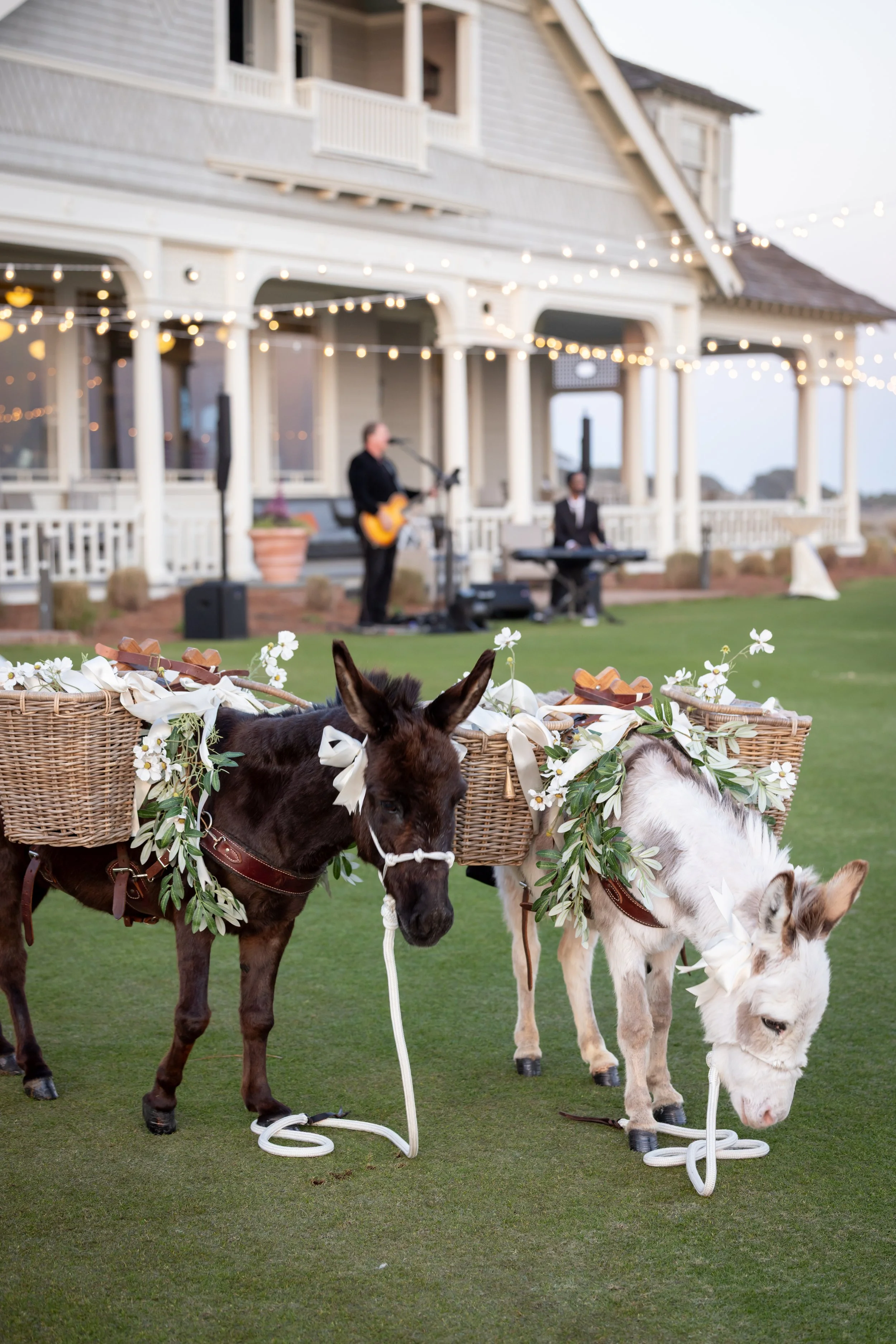 Kiawah-Wedding-Venue-Ocean-Course-cocktail-hour.jpg