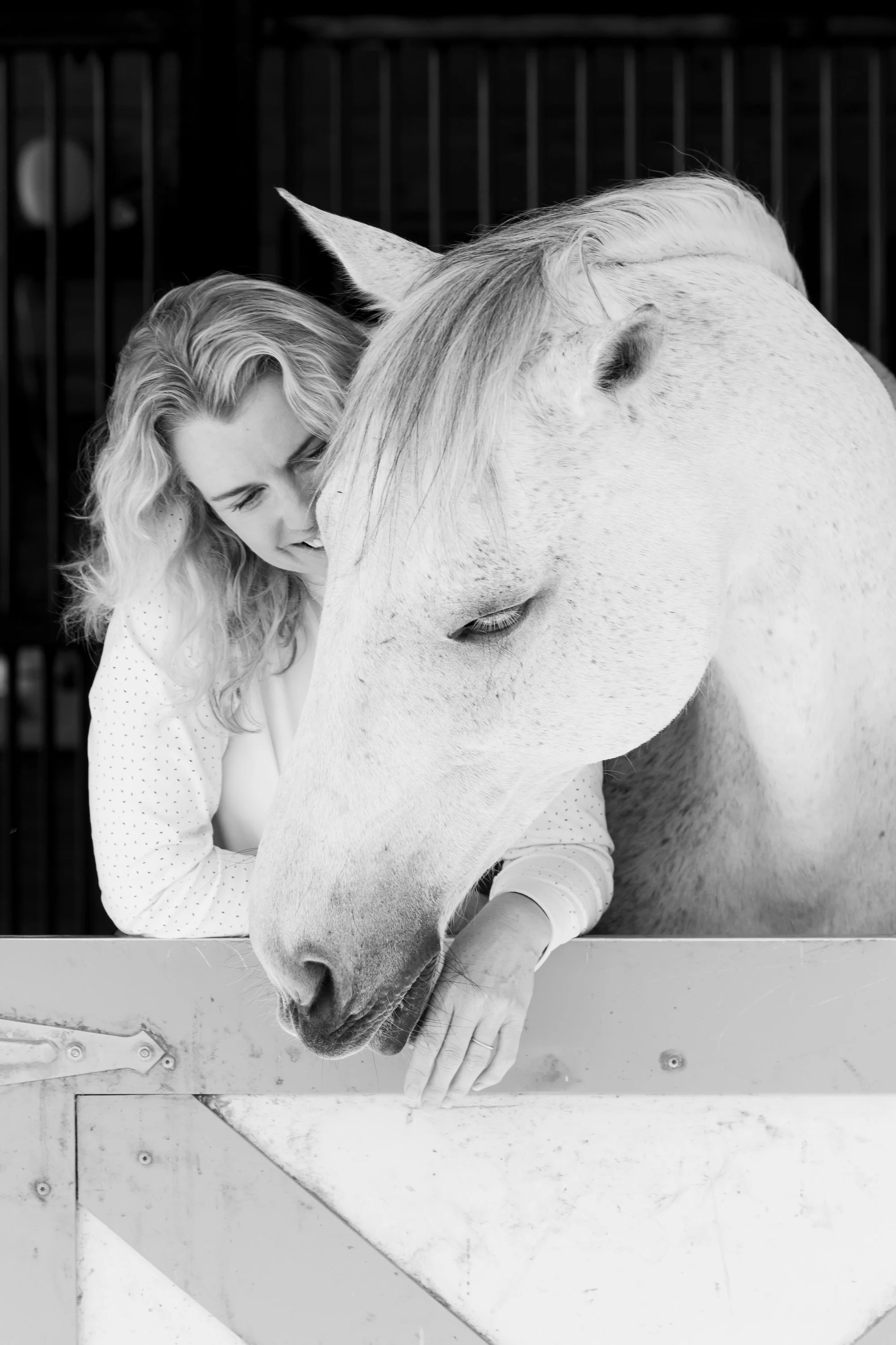 grey mare nuzzles her person