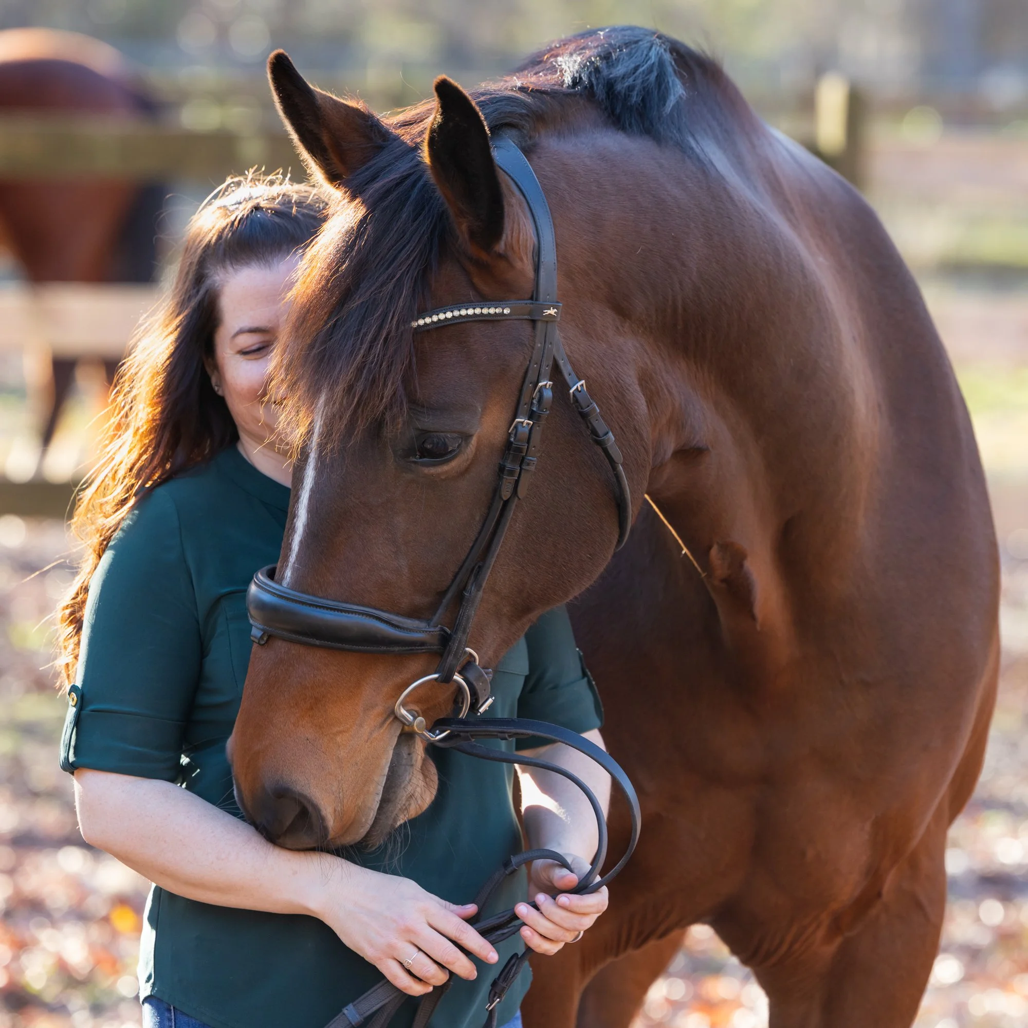 bay mare snuggling her person