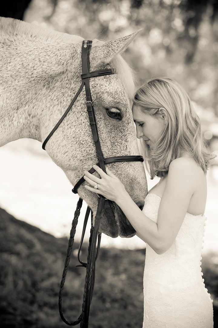 fleabitten-grey-with-bride.jpg