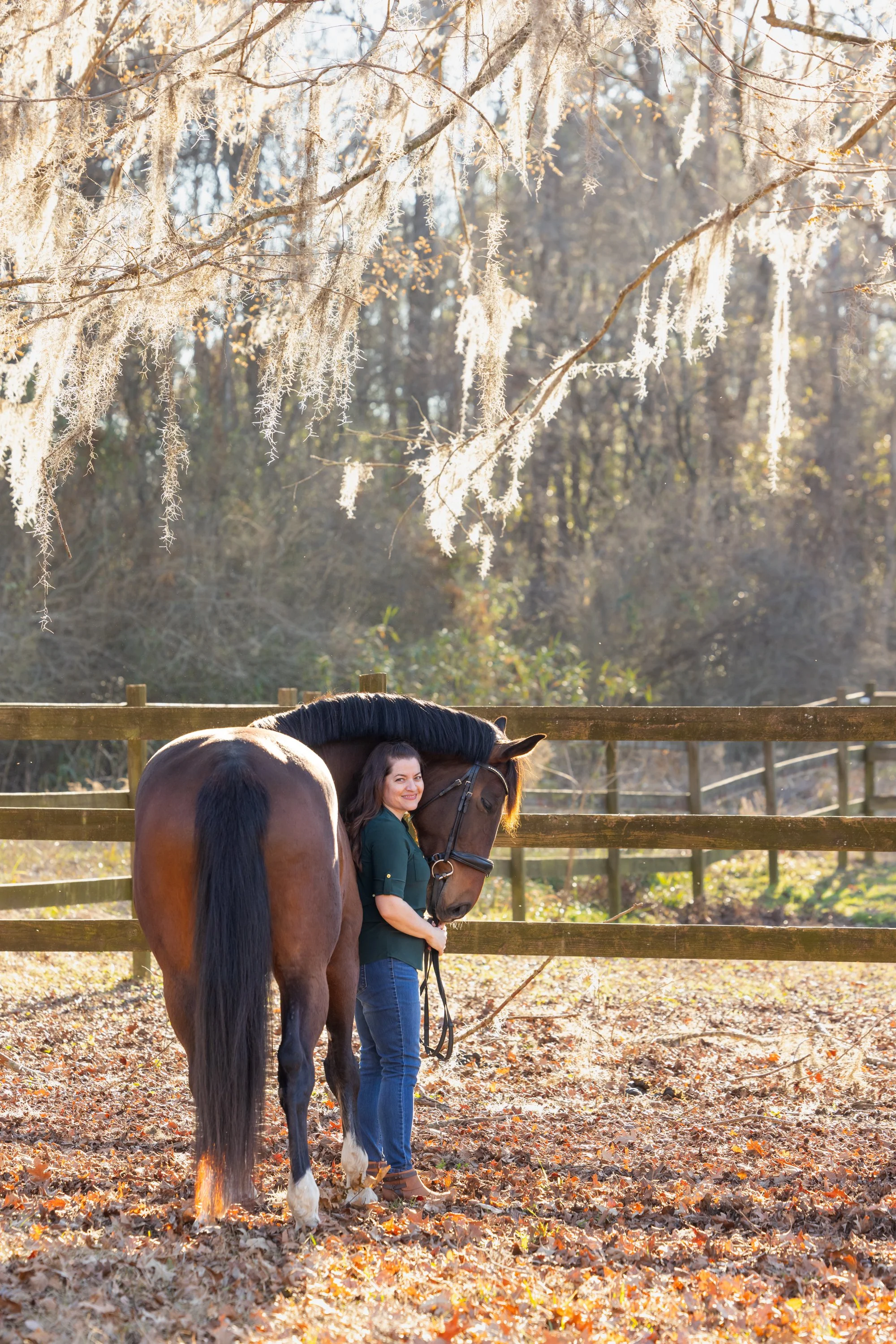 lowcountry horse and human