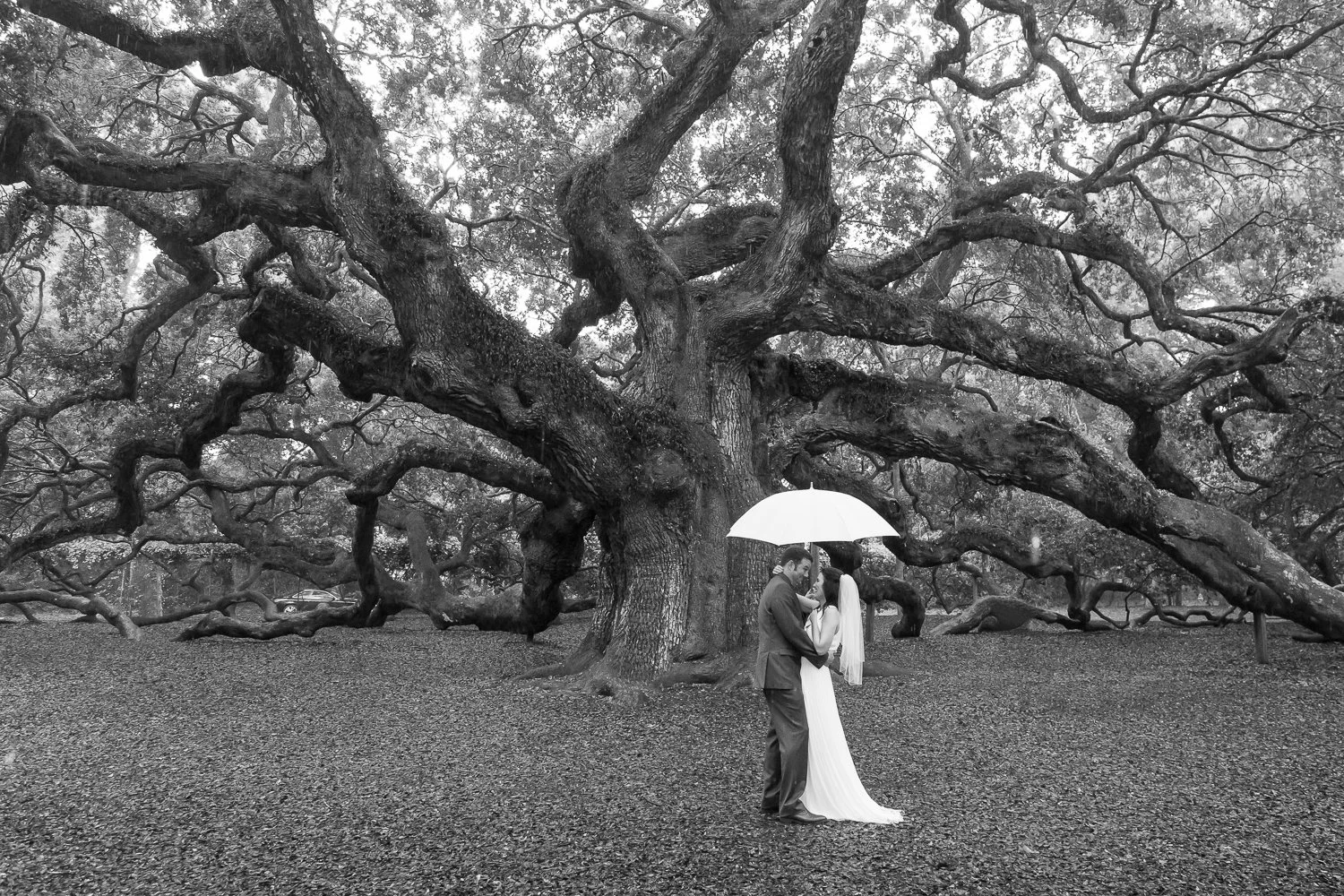 rainy day elopement vows under the Angel Oak