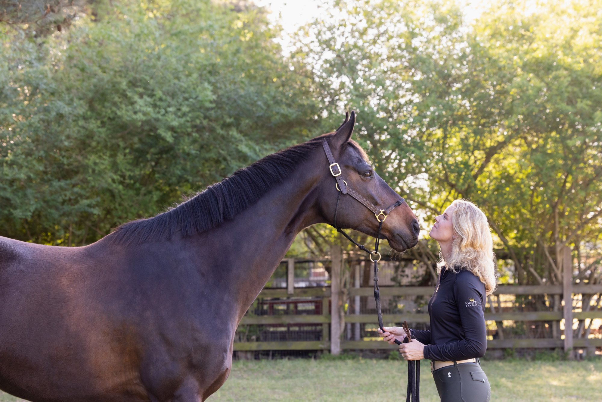 bay horse and woman nose to nose